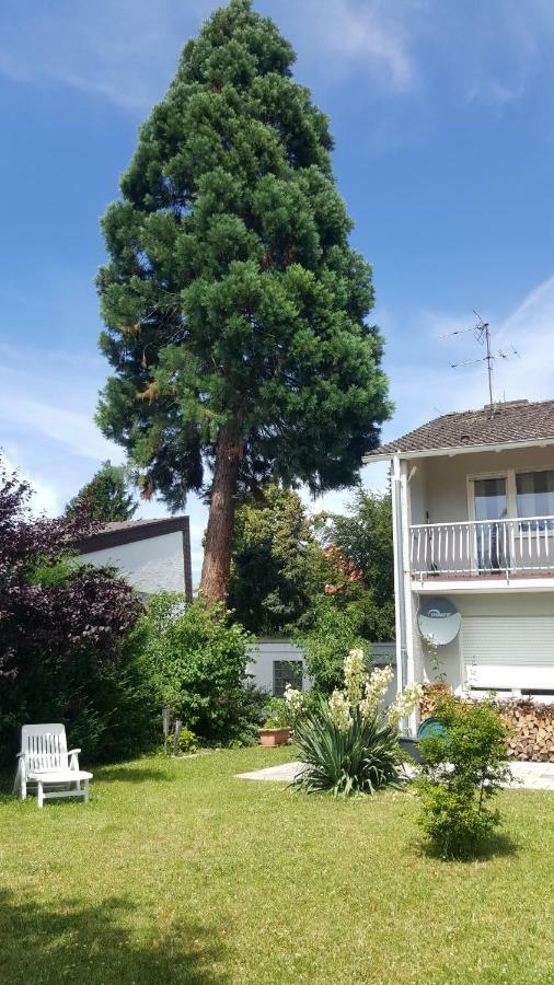 Ferienwohnung Schlossblick Bensheim Dış mekan fotoğraf